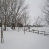 la grande nevicata del febbraio 2012 154